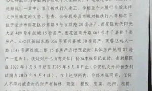 安徽一女子在长沙87套房产同时被拍卖：系非法集资案主犯