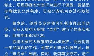 重庆动物园通报：向大熊猫兰香扔可乐男子已被行政处罚